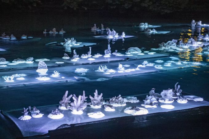 Das Projekt «Whitening Out» am Luzerner Löwendenkmal bei Nacht. korallen