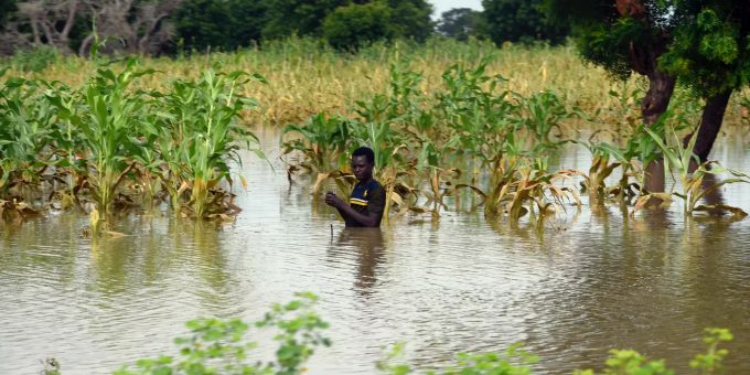 26.09.2020, Nigeria, Jigawa: Ein Mann steht nach starken Regenfällen in einem überfluteten Feld. Die saisonalen Regenfälle haben dazu geführt, dass in Nigeria das Wasser über die Ufer tritt. (Symbolbild) Nigeria