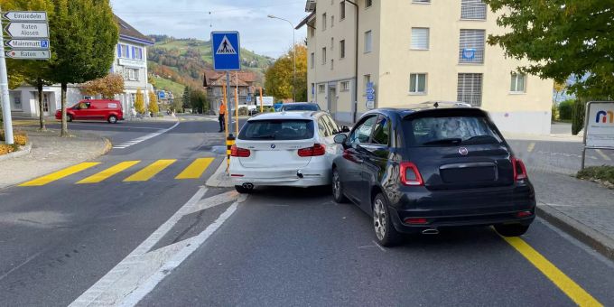 Marienkäfer bringt kein Glück. Marienkäfer bringt kein Glück
