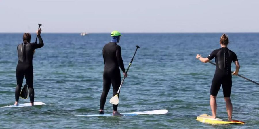 Stand-up-Paddler sind auf der Ostsee unterwegs. Foto: Bernd Wüstneck/dpa-Zentralbild/dpa