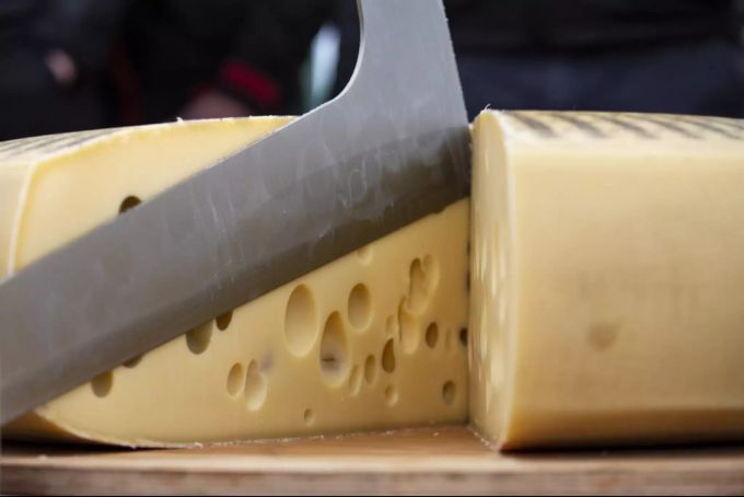 Ein Schweizer Käse. Käse
