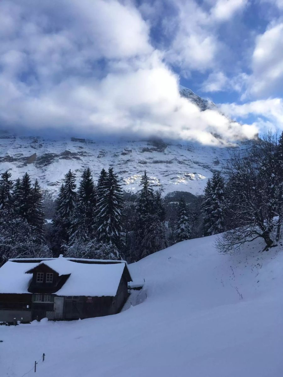 Grindelwald Schnee Wetter