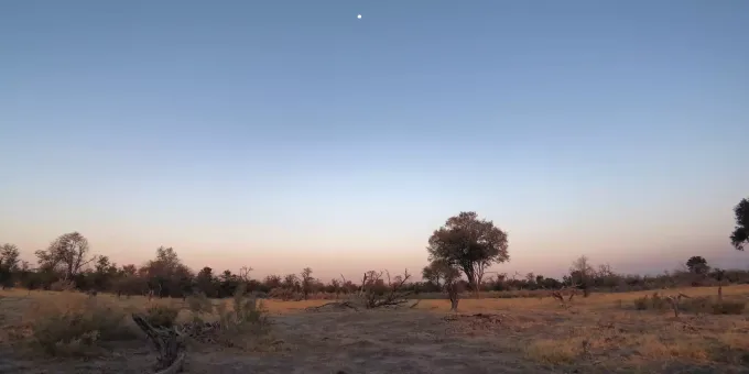 Wo Lebten Die Ersten Menschen Anthropologen Sind Sich Uneinig