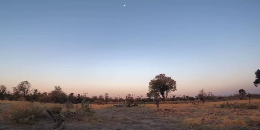 Verbreitete sich der Homo Sapiens von Botswana aus über die ganze Welt? Forschende sind sich uneinig.