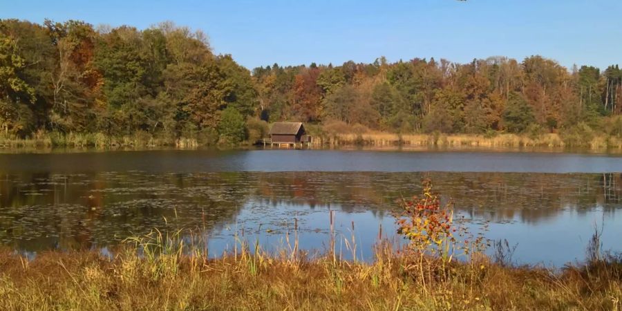 Der Bommer Weiher.