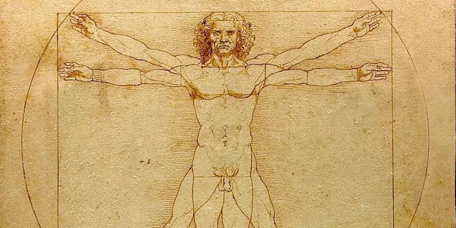 leonardo da vinci