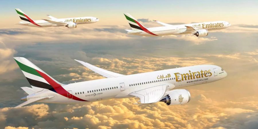 emirates economy