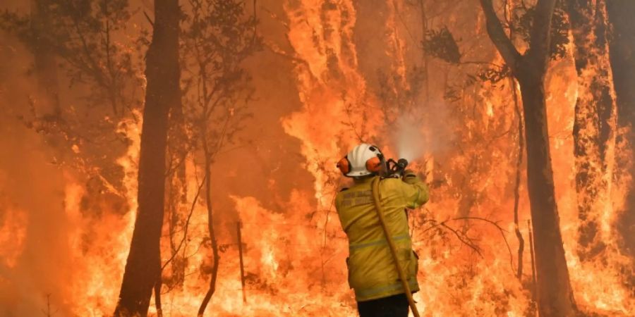 In New South Wales gibt es 70.000 frewillige Feuerwehrleute