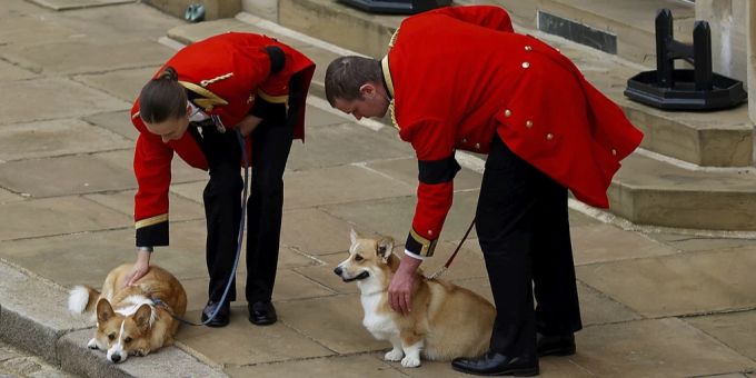 Die Corgis Muick und Sandy der Queen Elizabeth warteten an der Leine auf den Sarg ihrer Herrin. queen elizabeth