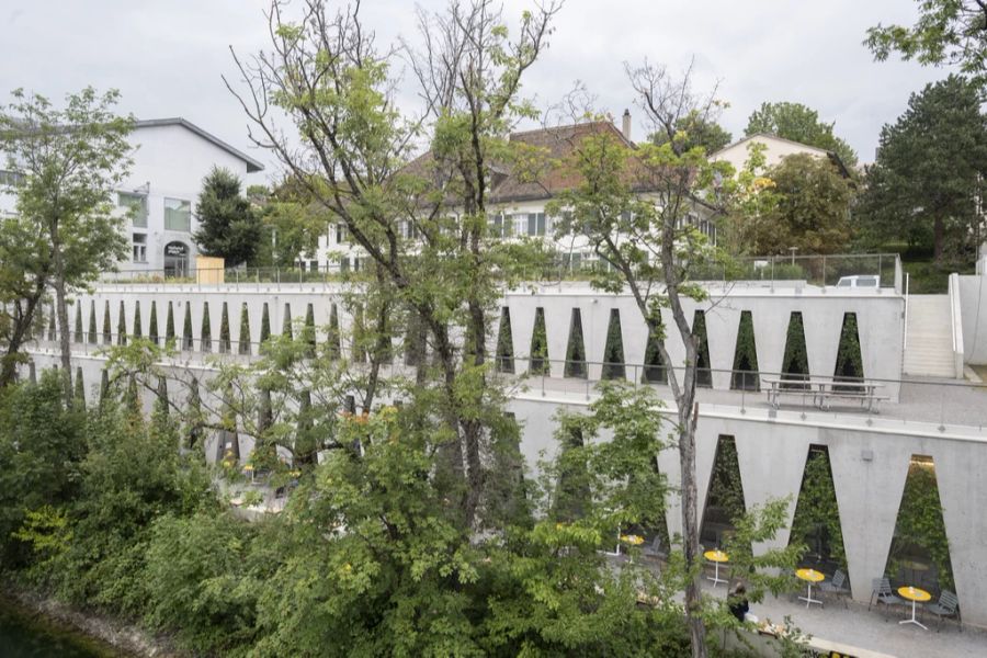 Die Lesestunden im Tanzhaus Zürich finden regelmässig statt.