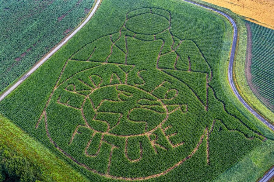 Landwirtschaft Klimawandel