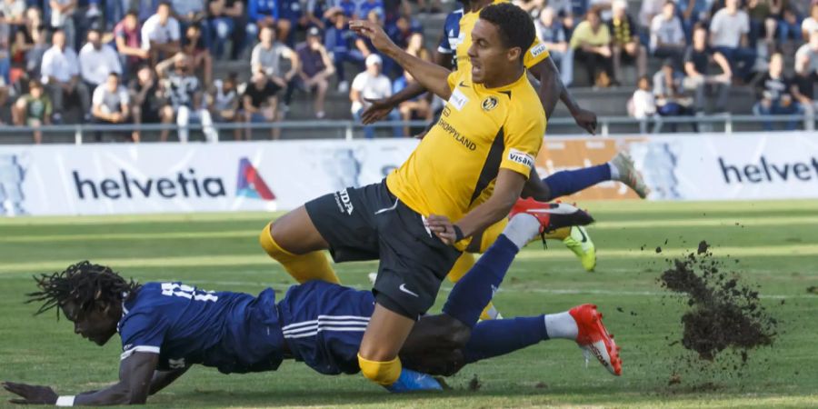 bsc young boys spielmann