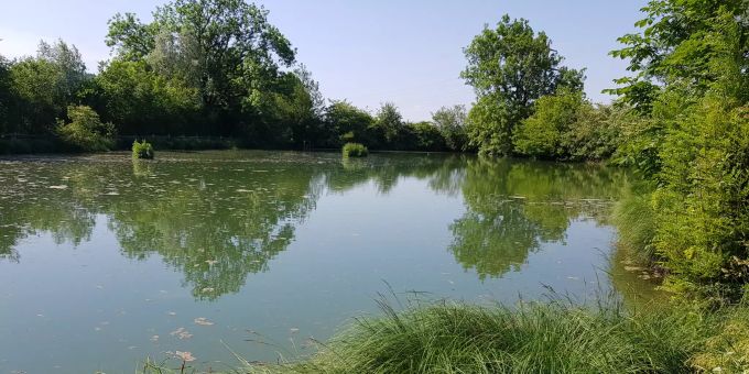 "Chlostergumpen", Embrach "Chlostergumpen", Embrach