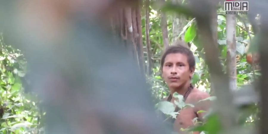 Indianer Brasilien Unterholz Amazonas