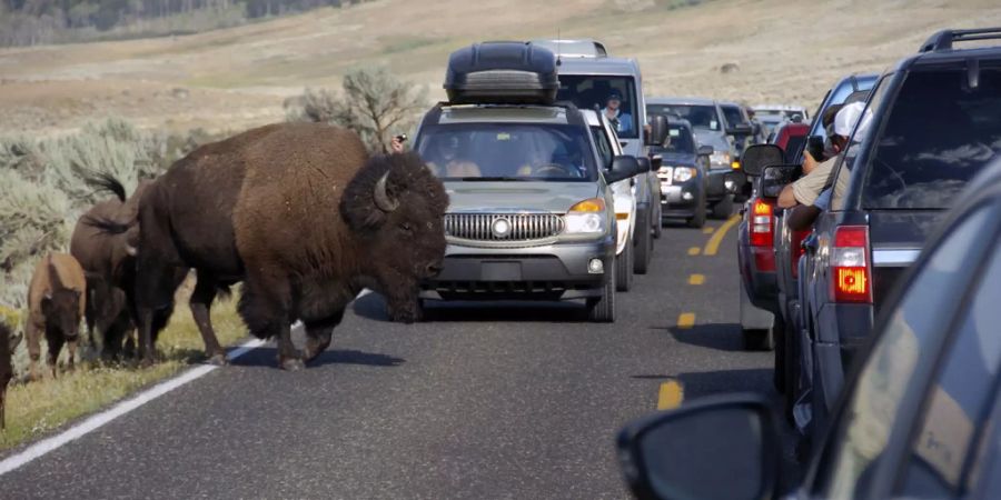 yellowstone-nationalpark