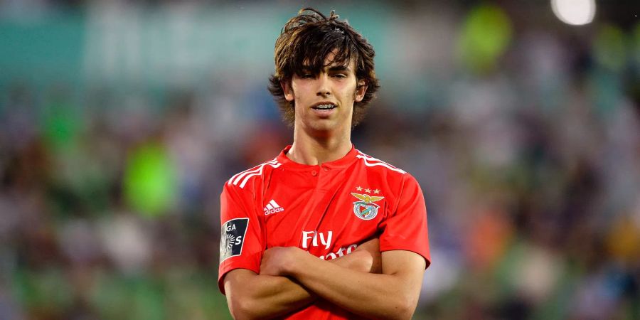 João Felix Benfica