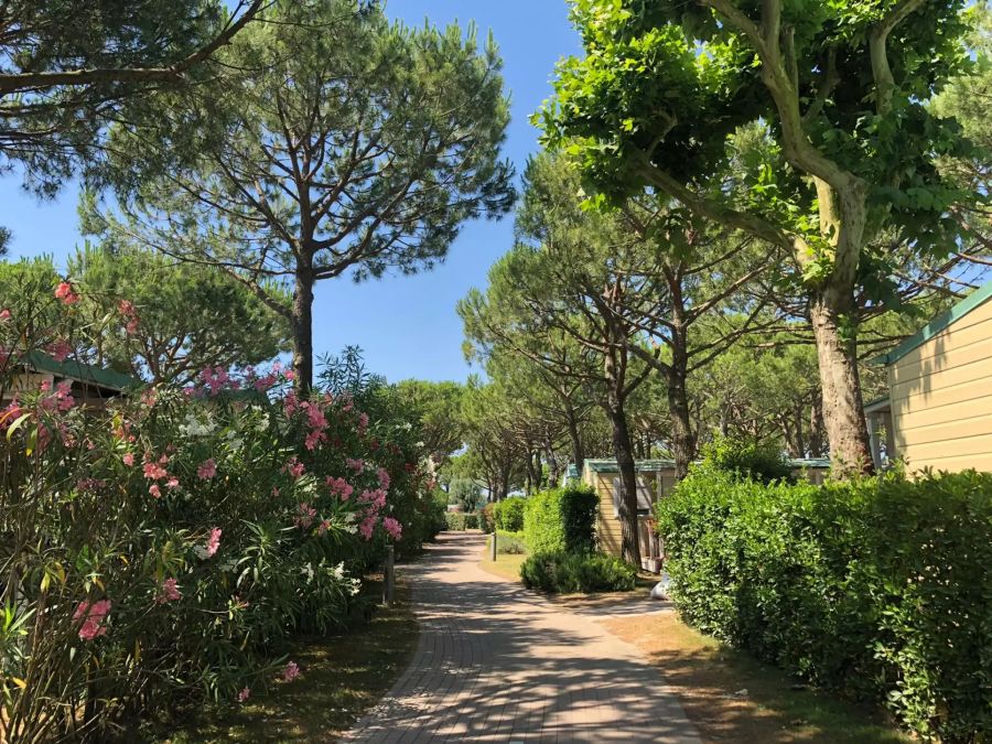 Der Campingplatz von Jesolo ist schön und gepflegt.