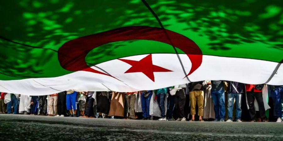Demonstranten am Freitag in Algier