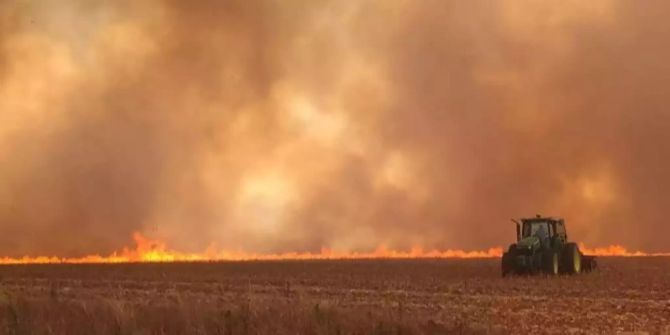 amazonas feuer g7