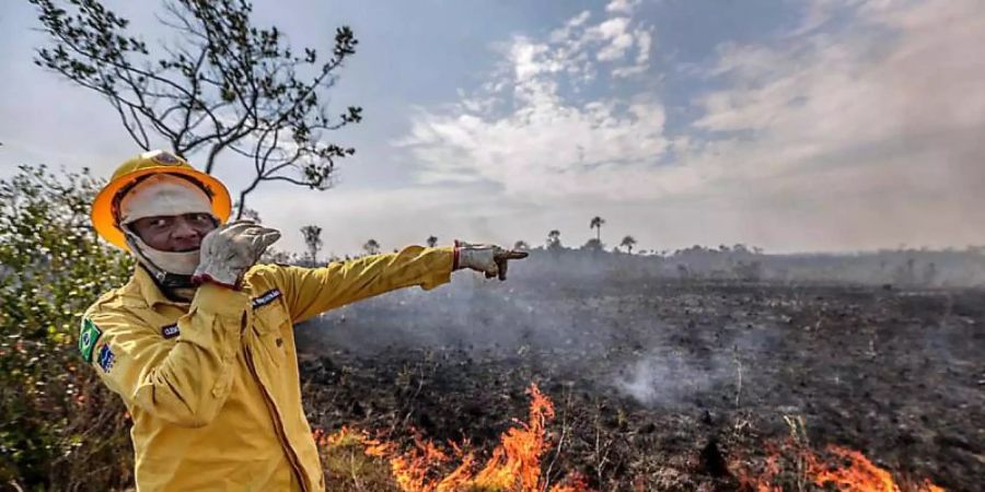 Ein Mitarbeiter der brasilianischen Umweltbehörde steht vor einem Brand. Foto: Gabriela Biló/XinHua