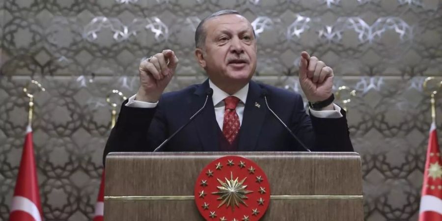 Präsident Erdogan bei einer Rede in Ankara. Foto: Yasin Bulbul/Pool Presidential Press Service/Archiv