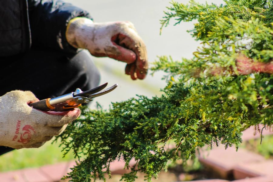 Handschere Garten pflegeleicht