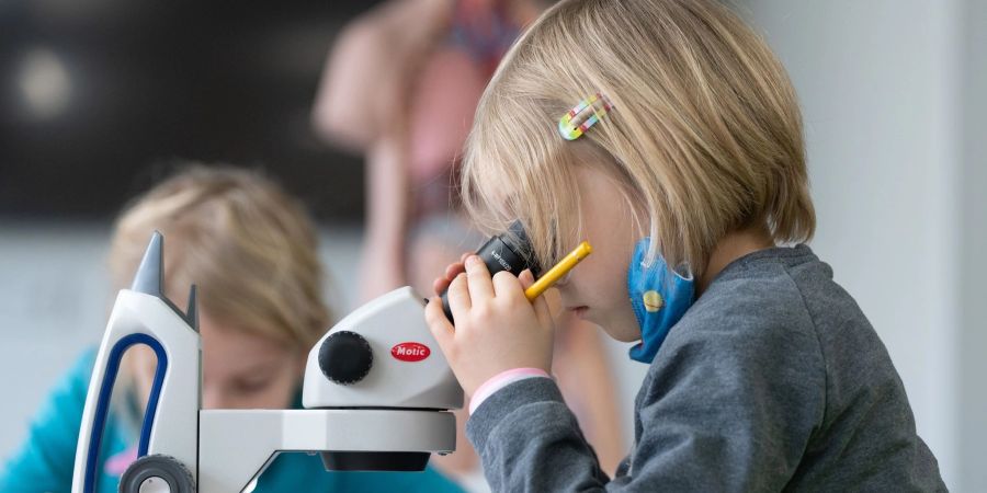 Schon von der Kita und Grundschule an sollen Kinder für MINT-Fächer begeistert werden, fordert der Unternehmer-Verband NRW vor.