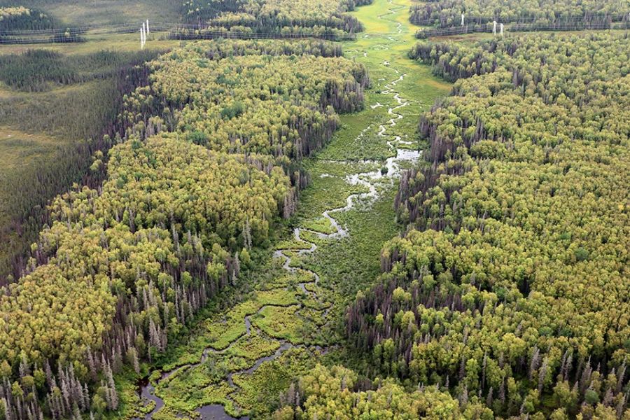 Wasserflugzeug Landschaft Alaska