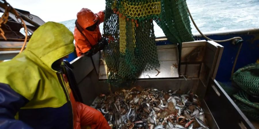 Fischereirechte waren lange Zeit umstritten