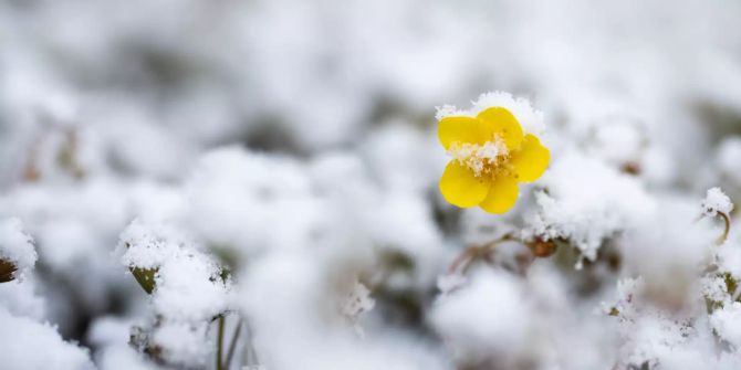 Schnee in Haltern am See