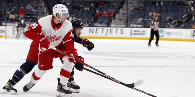 Christian Djoos wechselt von den Detroit Red Wings zum EV Zug. ev zug