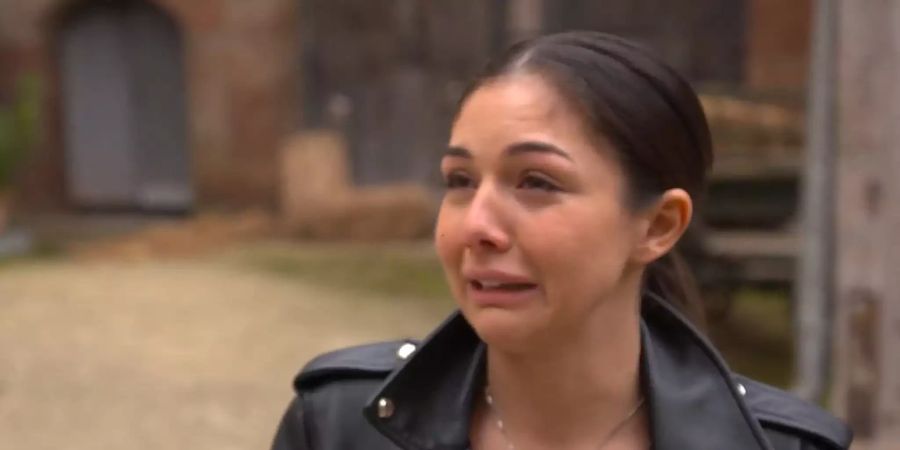 «DSDS»