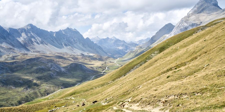 Albulapass, Albula, Saumpfad, Schweiz
