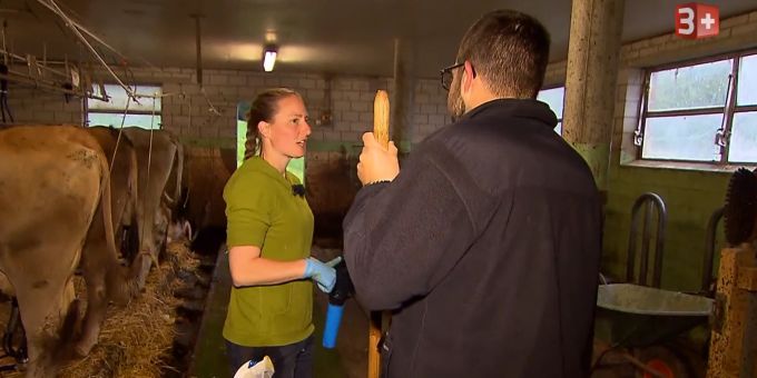 Bäuerin Annelies hat hohe Ansprüche an ihren potenziellen Partner. Ob Hofherr Pascal diesen gerecht wird? Bauer ledig sucht