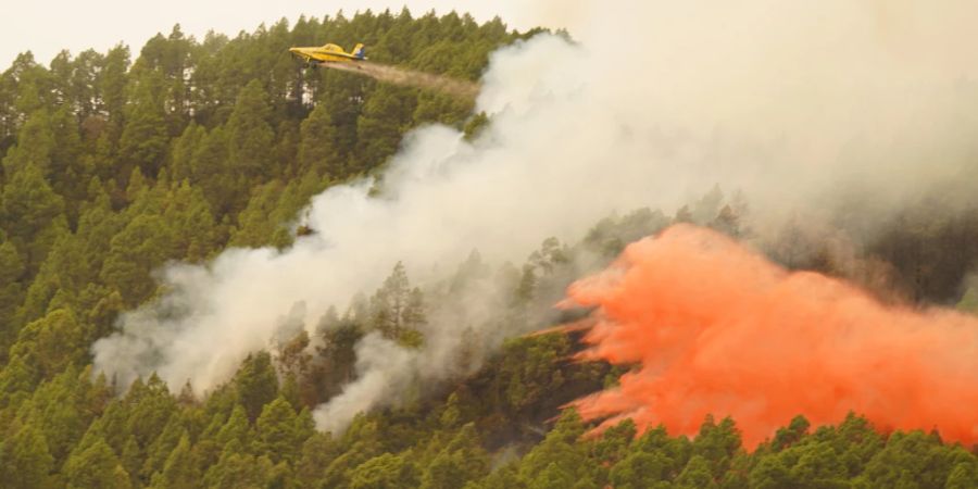 Ein Löschflugzeug wirft Wasser auf den Waldbrand in der Nähe der Gemeinde El Rosario auf Teneriffa. Foto: Europa Press/EUROPA PRESS/dpa