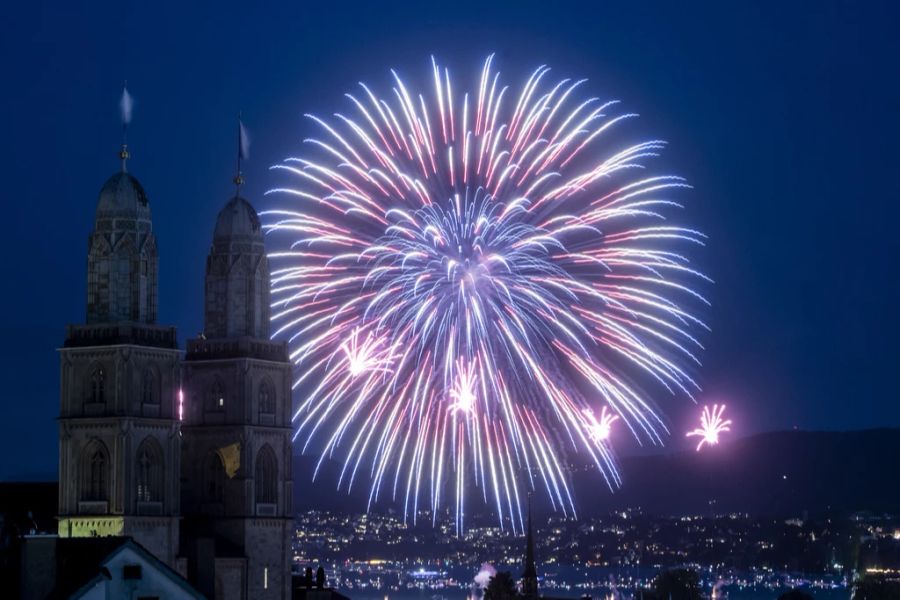 Feuerwerk Feuerwerksverbot Feuerwerksinitiative