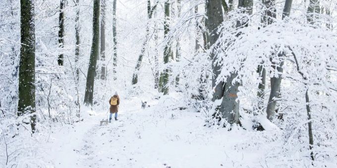 Am Sonntag und den folgenden Tagen soll es auch in tieferen Lagen wieder schneien. Wetter