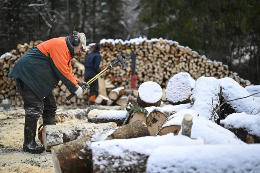In der Werkstätte des SAZ Burgdorf werden Stämme zu Brennholz verkleinert. (Symbolbild)