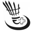 Logo Federball Badminton Swiss