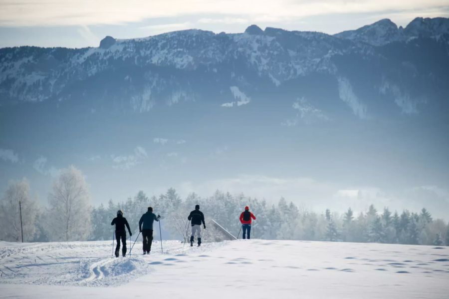 Skilanglauf