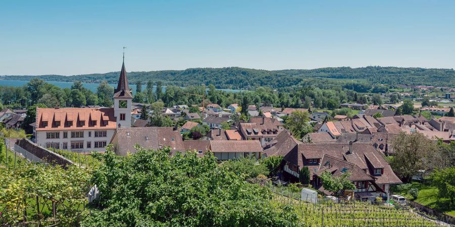 Blick auf die Gemeinde Erlach am Bielersee.