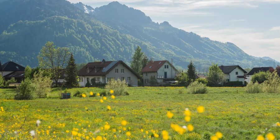 Landschaft in der Gemeinde Schänis im Kanton St.Gallen.