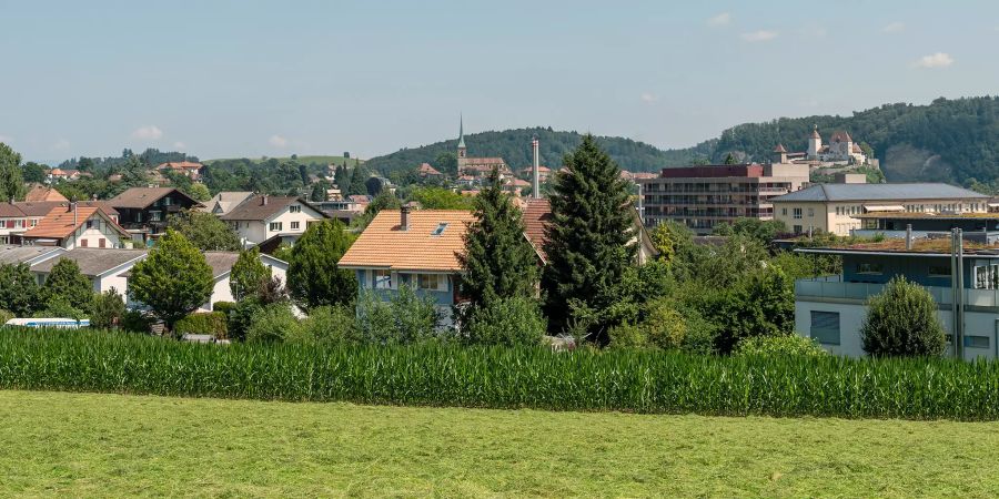 Burgdorf. Vom Grünland in die Stadt.