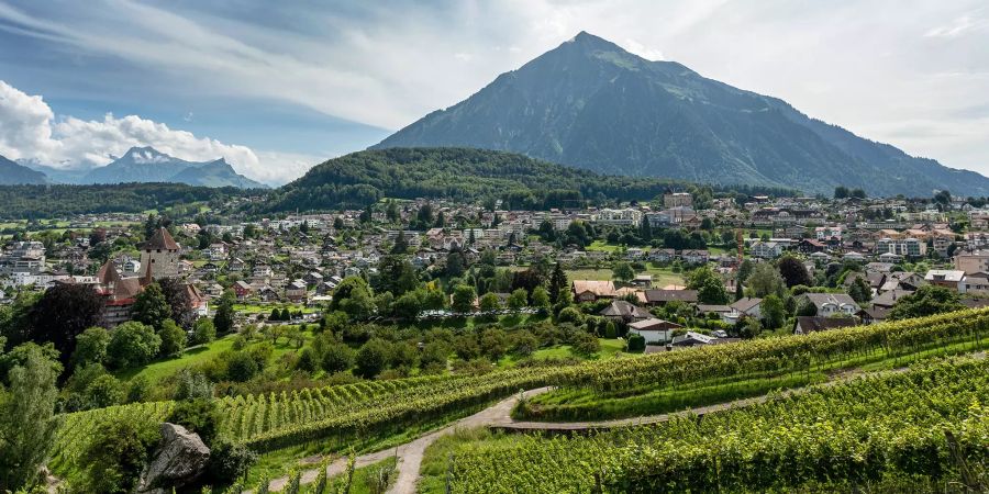 Blick auf die Gemeinde Spiez mit dem Niesen.