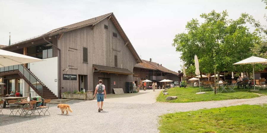 In einem seltenen Extremfall kamen der Jucker Farm in Seegräben (ZH) einmal rund 80 frisch gepflanzte Jungbäume abhanden.