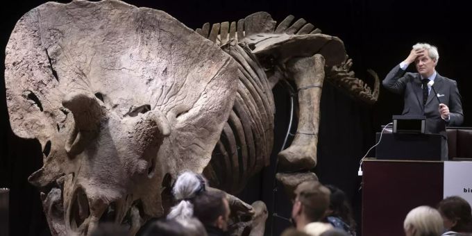 Ein US-Sammler hat den Triceratops ersteigert. Skelett