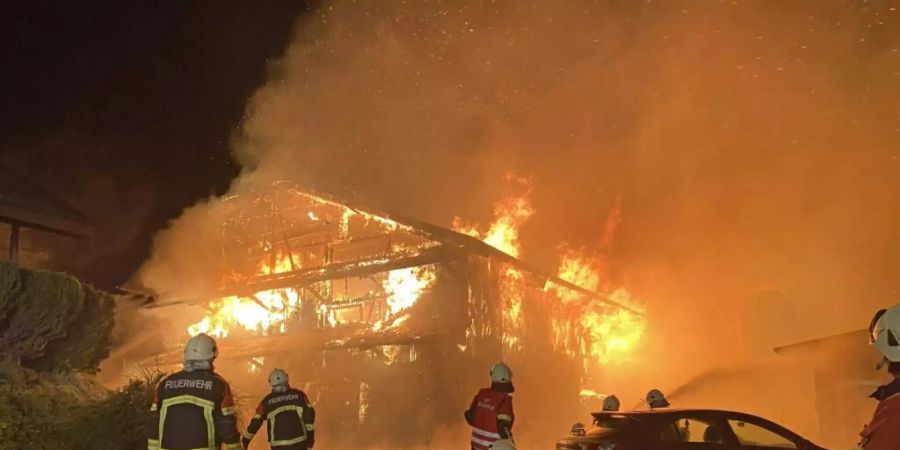 Beim Brand einer Scheune in Müswangen sind mehrere Milchkühe und Kälber verendet. Dutzende weitere Tiere konnten gerettet werden. Die Scheune brannte total aus.