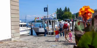 Gemeinde - Der Rorschacher Seepark bekommt neue Säulenpappeln