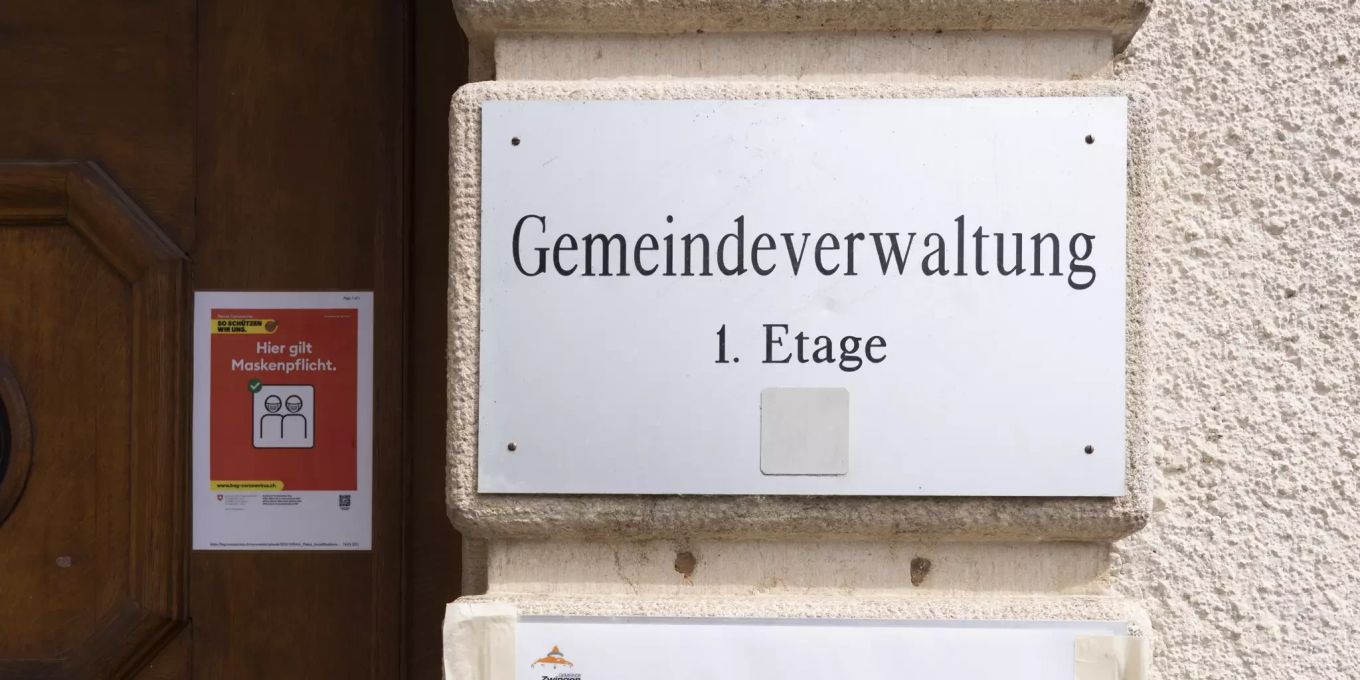 Fledermäuse rücken bei «Wilde Nachbarn» in den Fokus