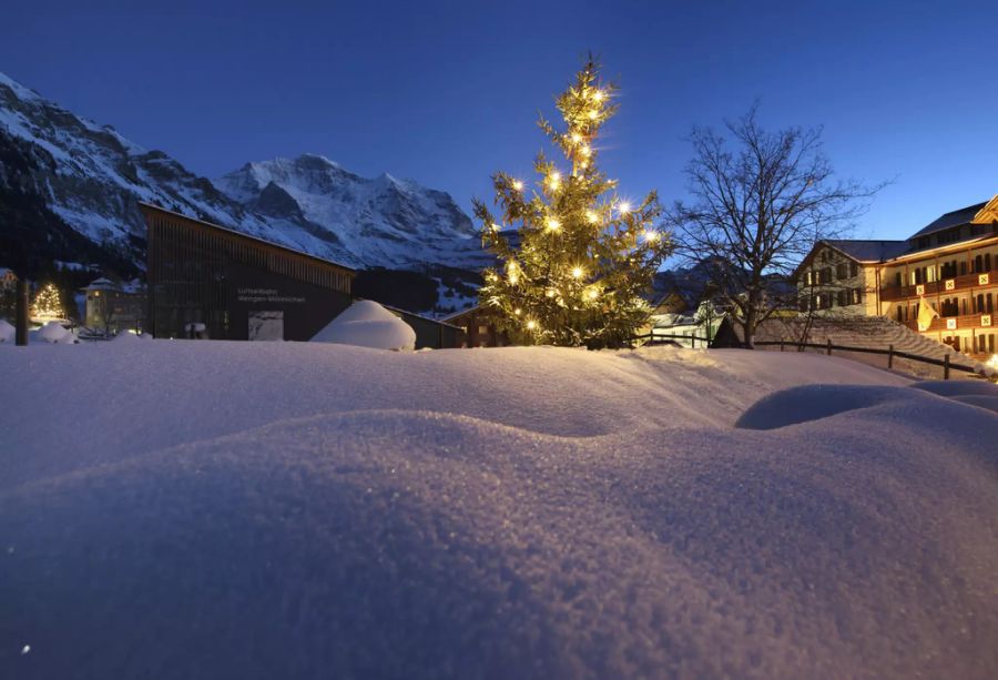 Schnee Weisse Weihnachten